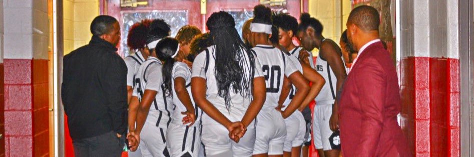 Lady 🦁🏀 banner