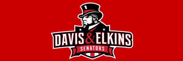 Davis & Elkins Volleyball Profile Banner