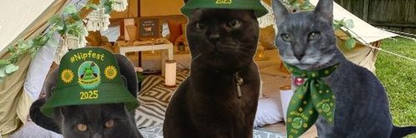 houdini_cat Profile Banner