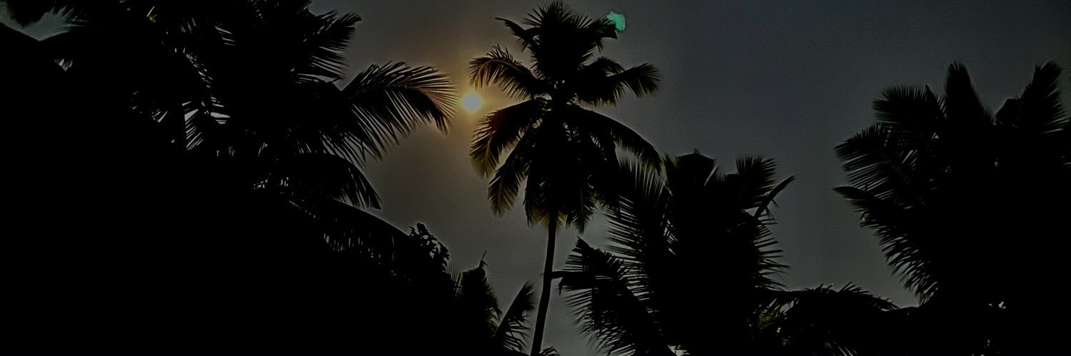 LaxsonDsouza's profile banner image