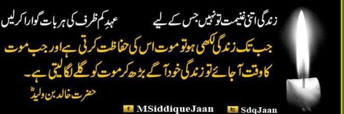 Siddique Jan's banner