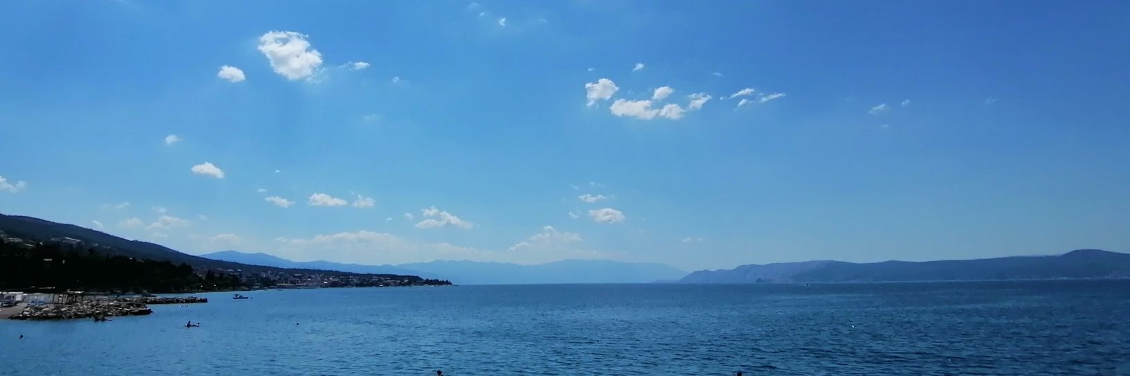 Max Tobias banner