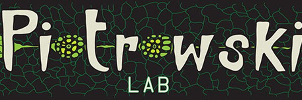 LabPiotrowski Profile Banner