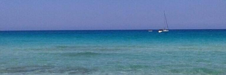 Piotti_21's profile banner image