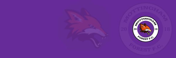 MottForestFC Profile Banner