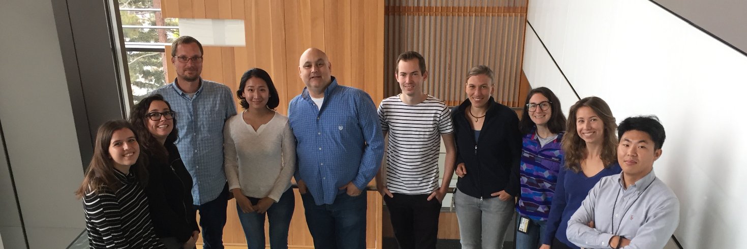 Hockemeyer Lab banner