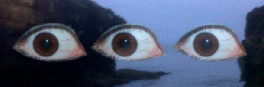 dentetort0's profile banner image
