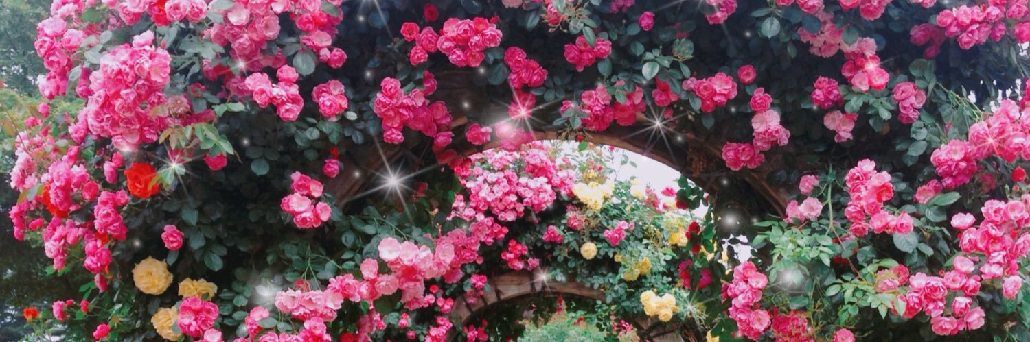 ✨🦢💜ĸayυ✧yιвo⋆🌙 banner