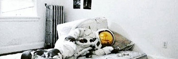 Chef Winters [$BTC] banner