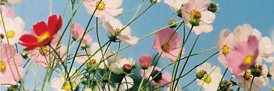 matthews0777's profile banner image