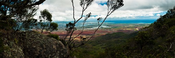schroersmartin Profile Banner