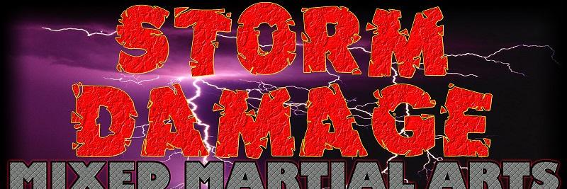 StormDamageMMA's profile banner image