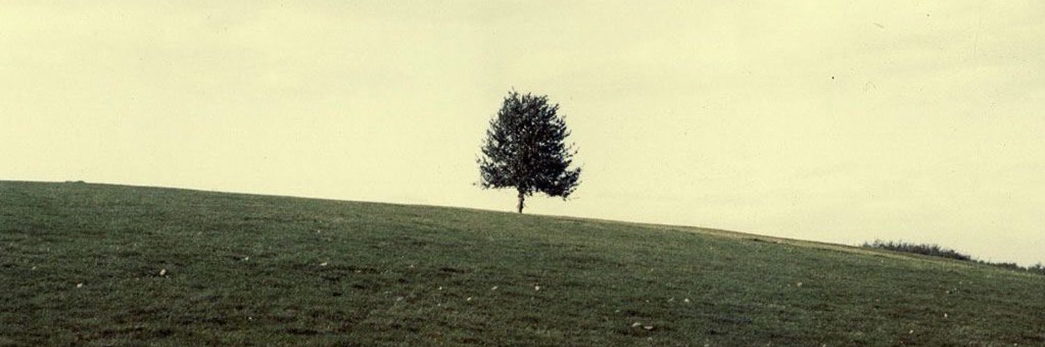 devankyyy's profile banner image