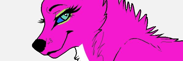Wolf_Addie_'s profile banner image