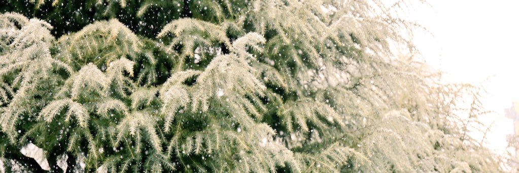 makehair's profile banner image
