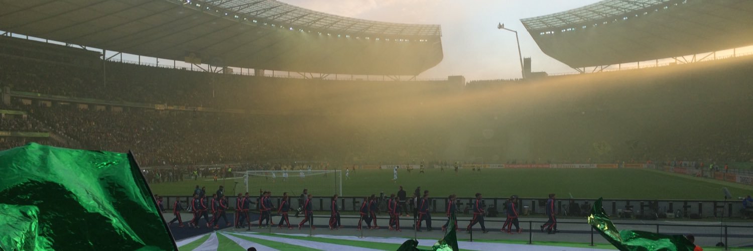 Wolfsburgo's profile banner image