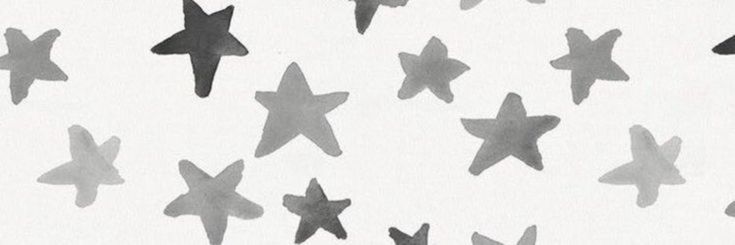 skieselm's profile banner image