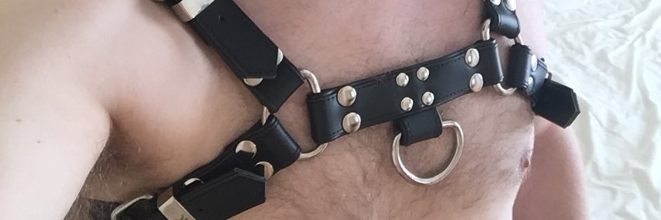 Norwich Vers Guy banner