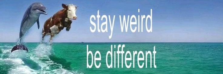 siipbro's profile banner image
