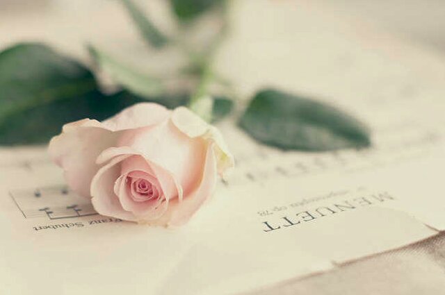 Benita Rosalie banner