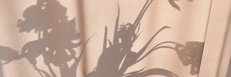 Anita Eichinger banner