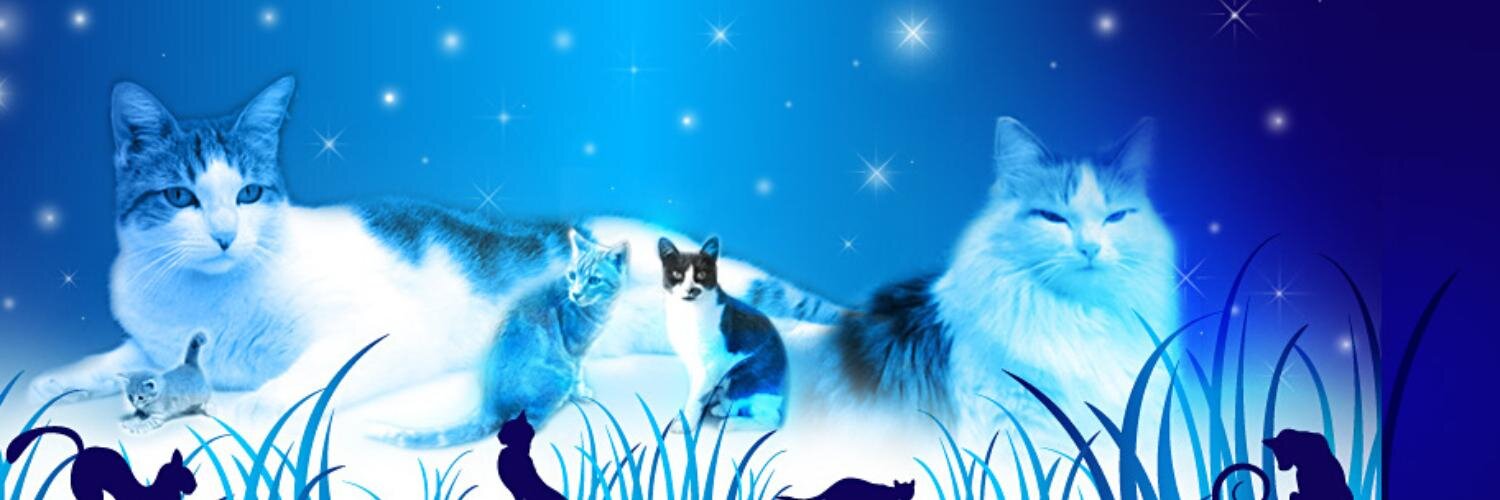 chatmania sign up chatmania sign up