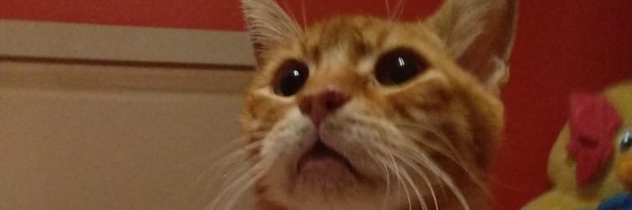ayceeeeee's profile banner image