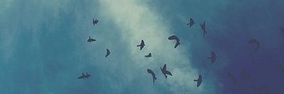 _rhmdani's profile banner image