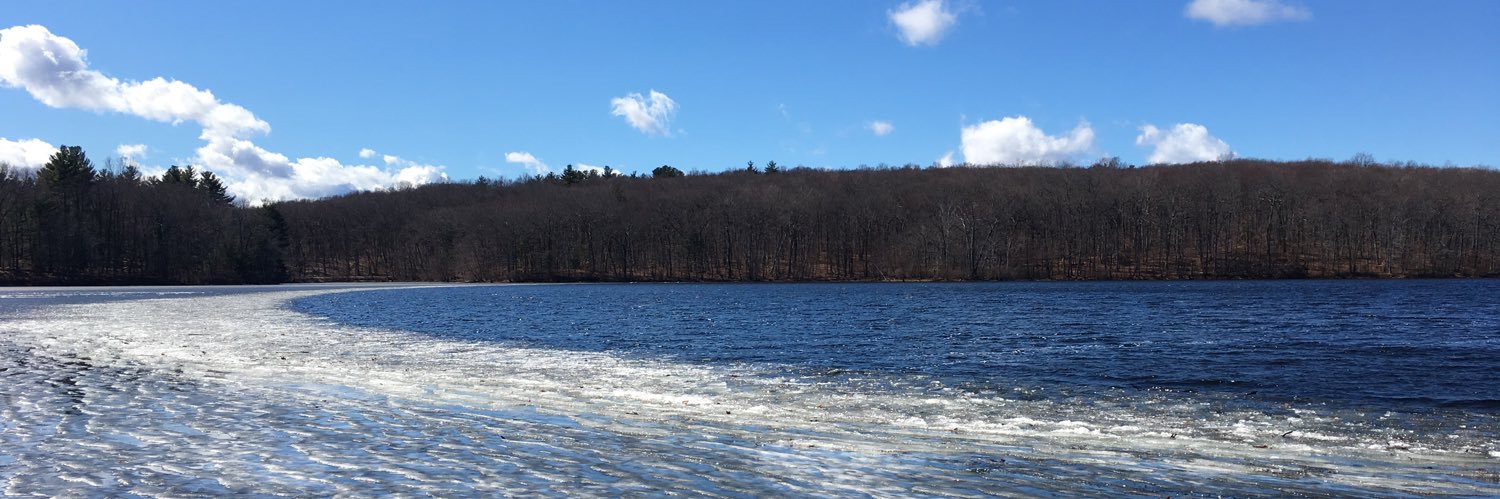BaumMartha's profile banner image