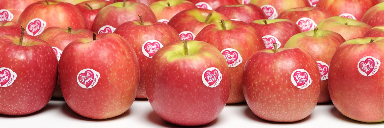 loupomme's profile banner image