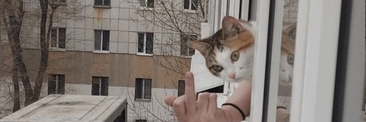 PaleoLeftist! banner