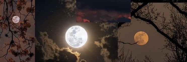 bmarvelboy's profile banner image