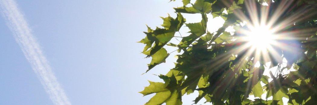 Julius_Manninen's profile banner image