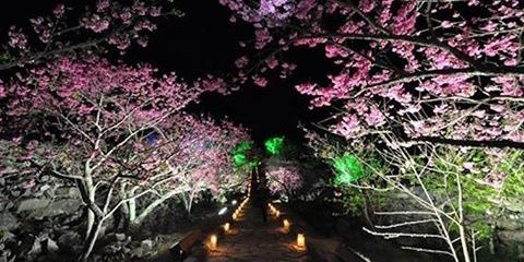 Iinyudayasa's profile banner image