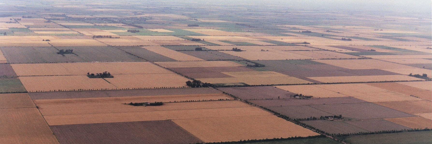INTA - AER "Castellanos" banner