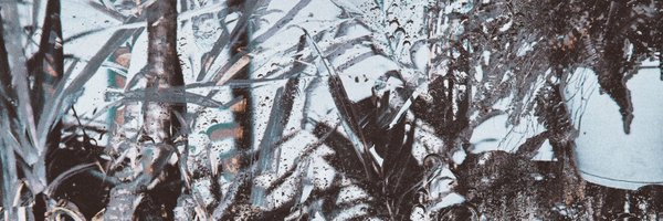 NullDaSensei Profile Banner