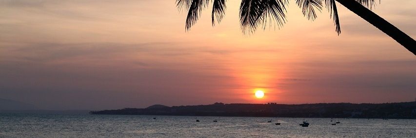 Anin banner
