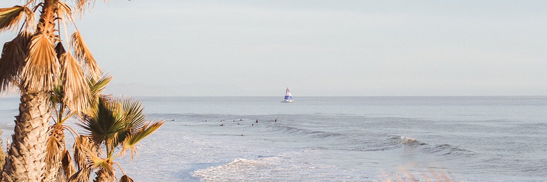 sun and swell banner