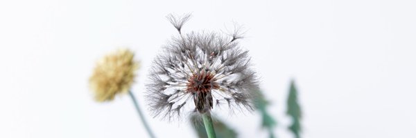 kyoshota Profile Banner