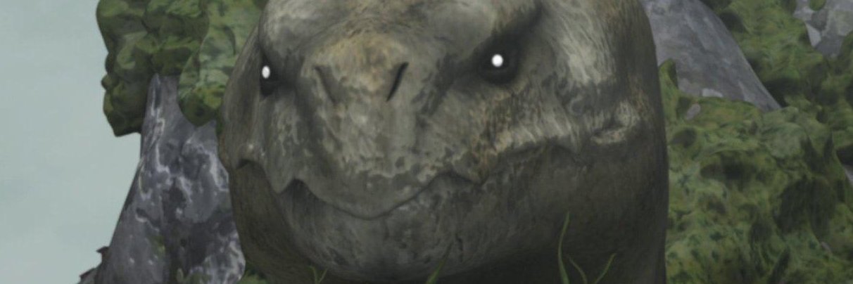 Thunder #CháDeTrovão banner