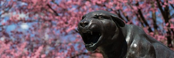PittGIM Profile Banner