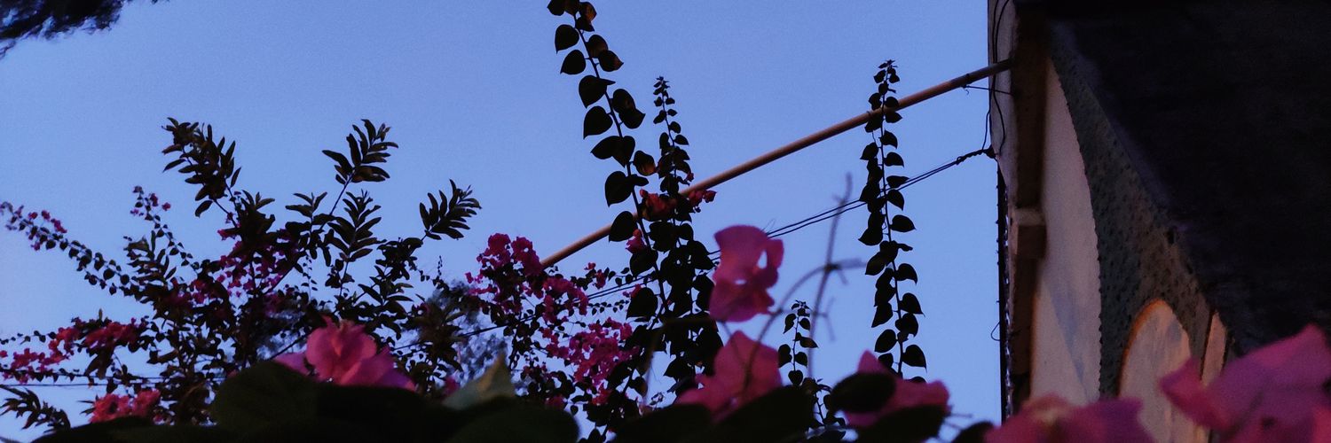 docNext_Door's profile banner image