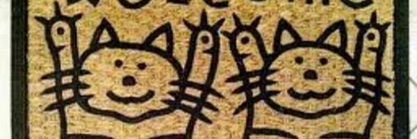 opendoorv Profile Banner