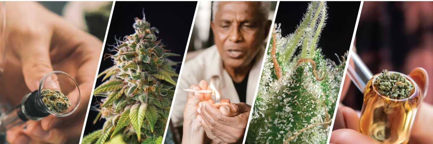 AUDACIOUS (AUSA) banner