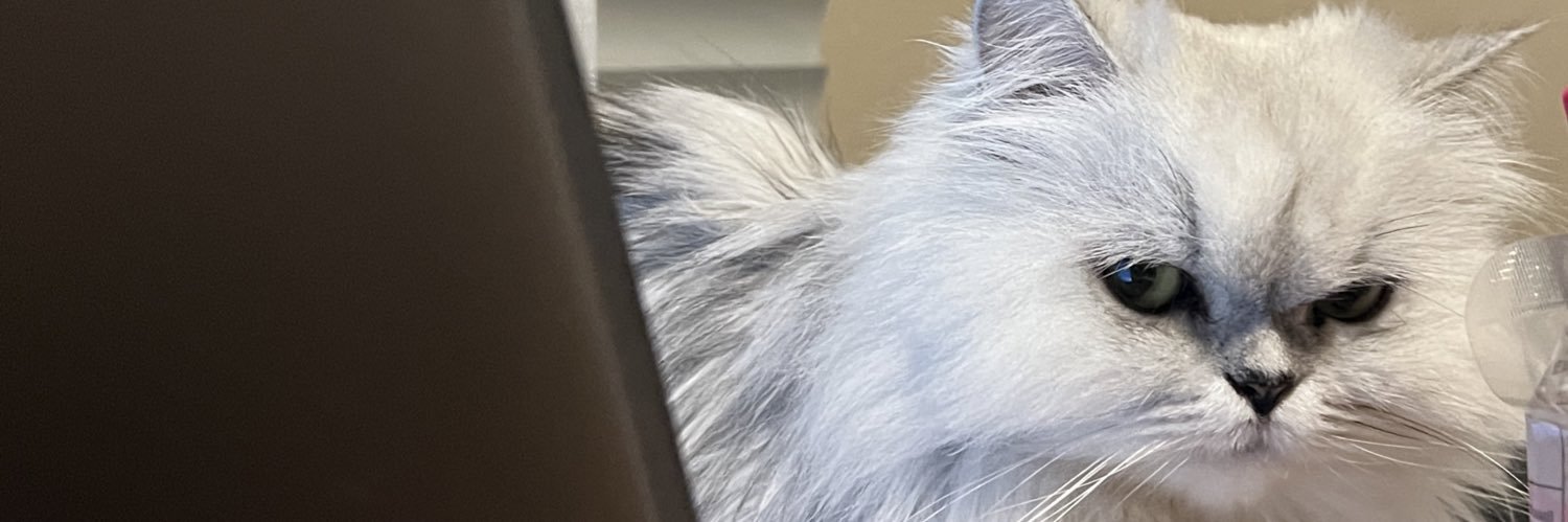 knomtoey's profile banner image