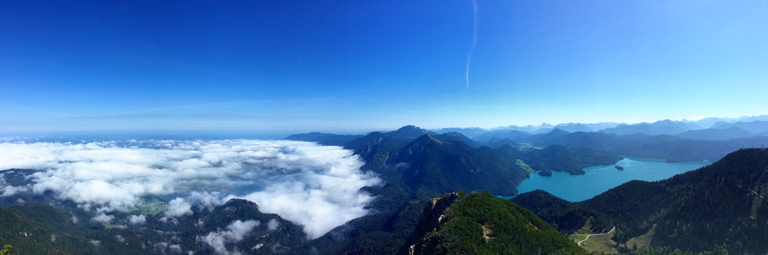 Alex Borodavka banner