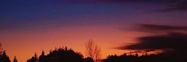 JMortiz9's profile banner image