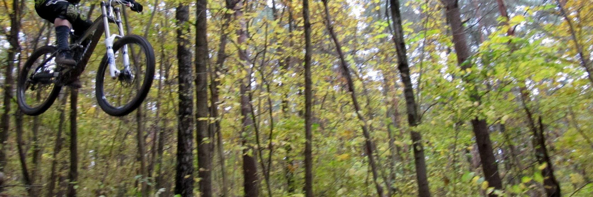 Vaidas Pilkauskas banner