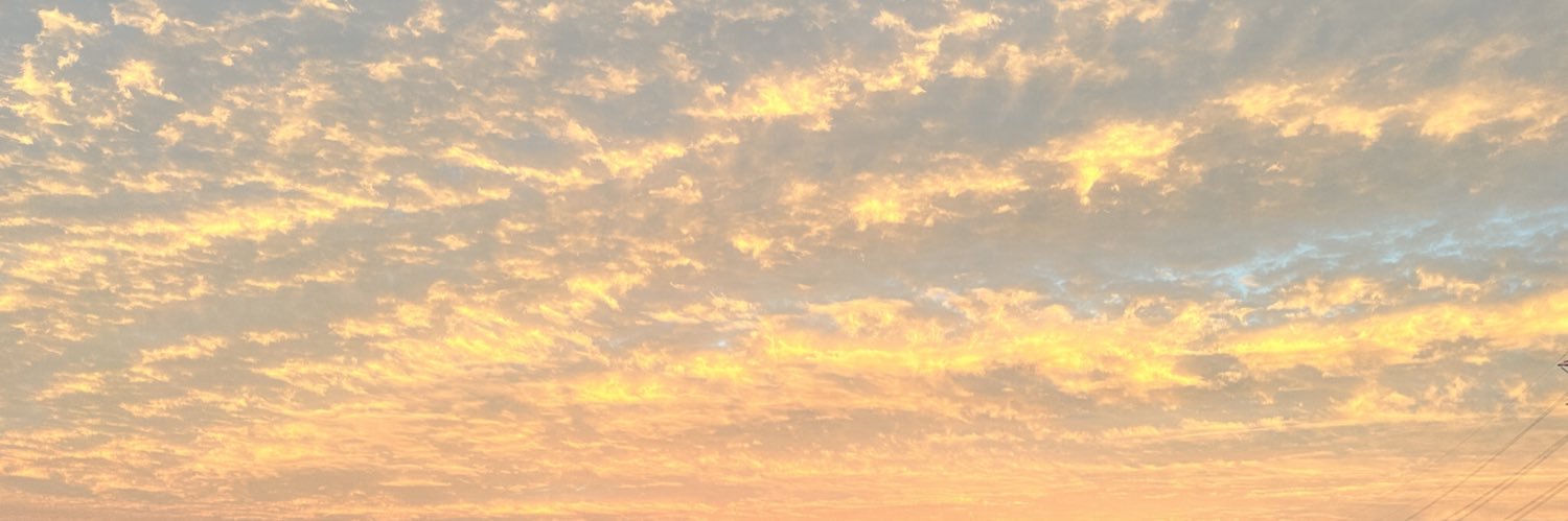 ろいん banner