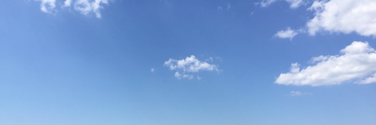Fridericus_'s profile banner image